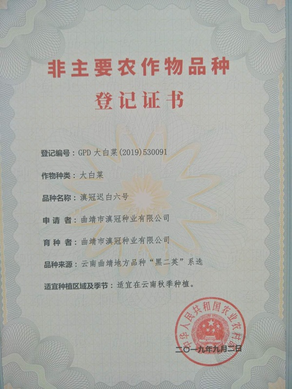 非主要農作物品種登記證書-大白菜