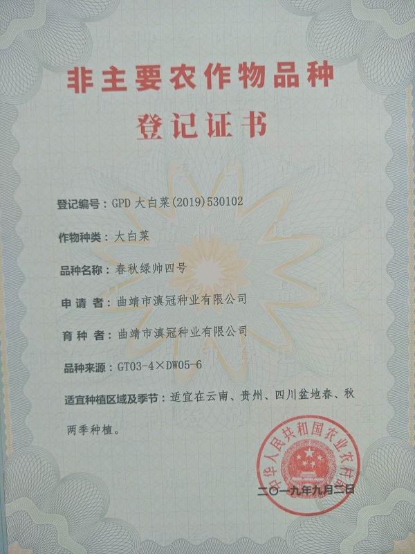 非主要農作物品種登記證書-大白菜春秋綠帥四號