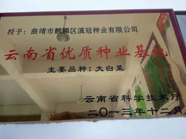 云南省優質種子基地