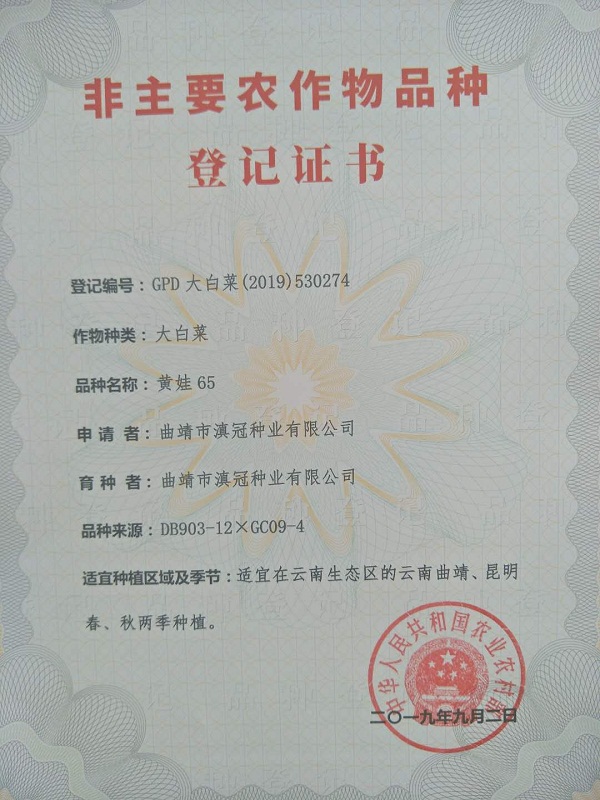 非主要農作物品種登記證書-大白菜夏娃65