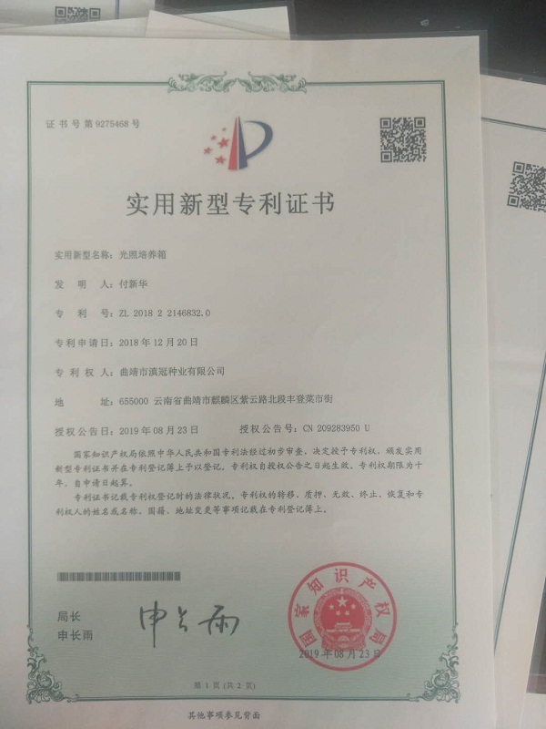 實用新型專利證書-光照培養箱