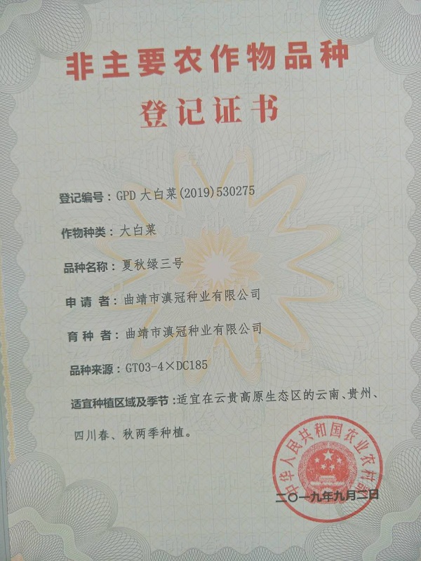 非主要農作物品種登記證書-大白菜夏秋綠三號